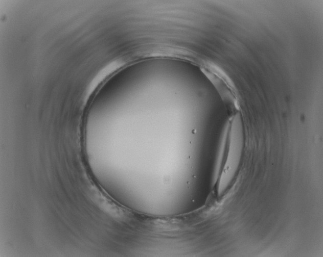 X0000062841138200601272010