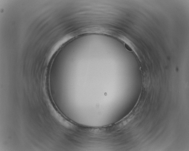 X0000062841139200601272010