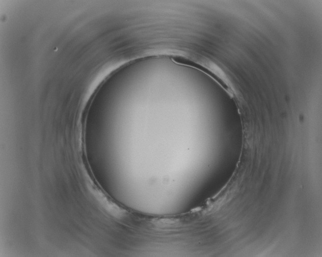 X0000062841140200601272010