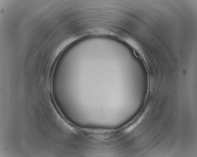 X0000062841141200601272010