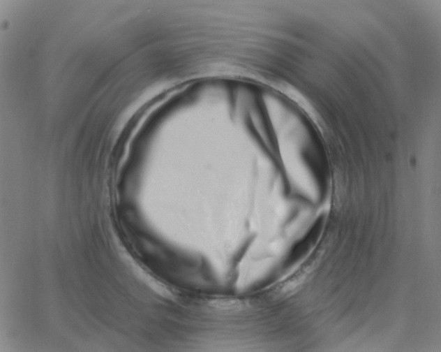 X0000062841142200601272010