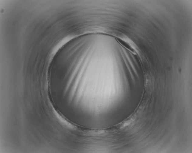 X0000062841143200601272010