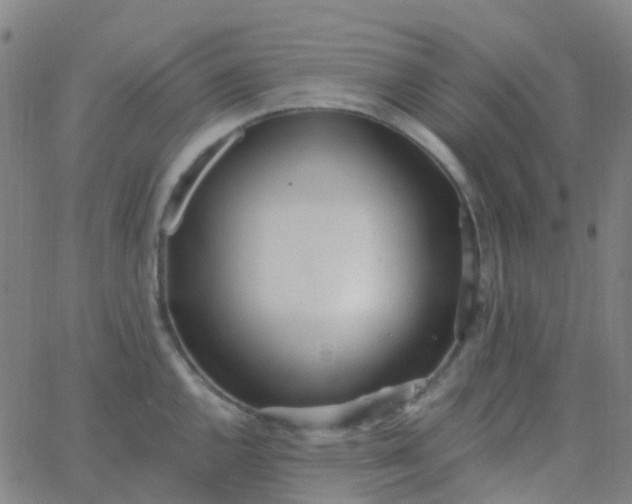 X0000062841144200601272010