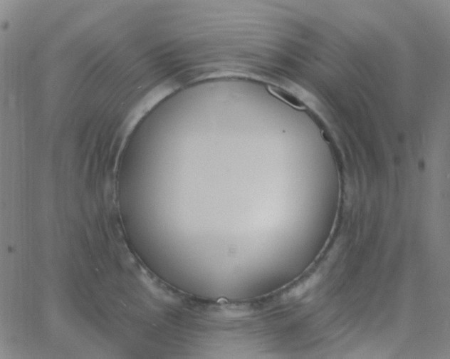 X0000062841145200601272010