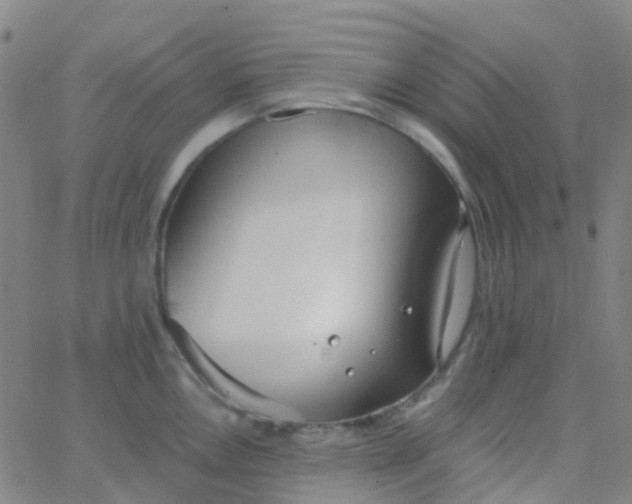 X0000062841146200601272010