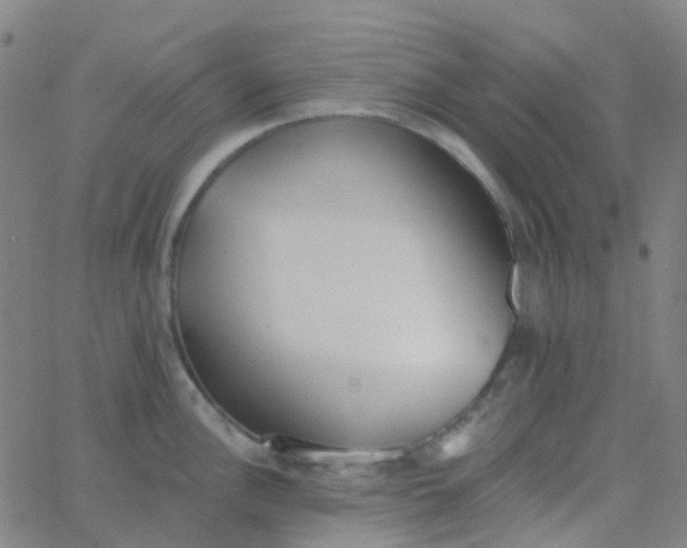 X0000062841148200601272010