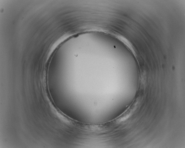 X0000062841149200601272010