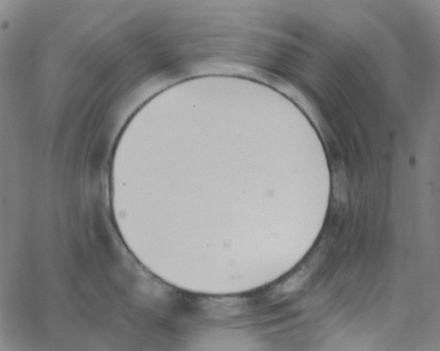 X0000062841150200601272010