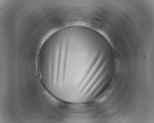 X0000062841151200601272010