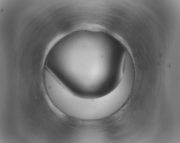 X0000062841152200601272010