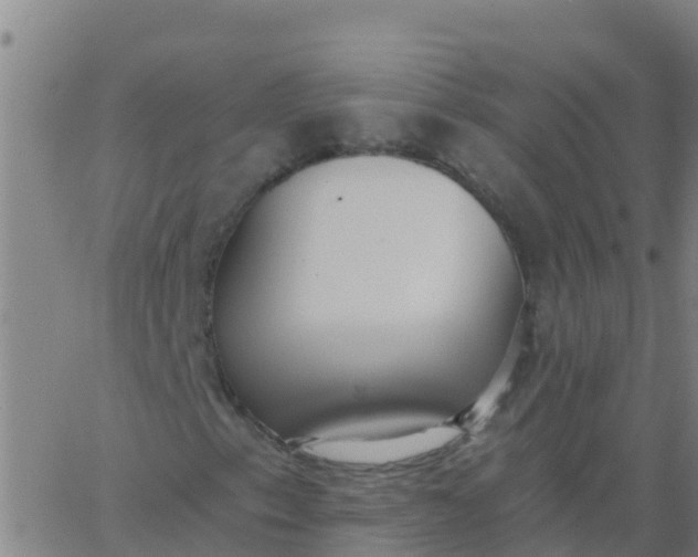 X0000062841153200601272009