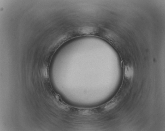 X0000062841155200601272009