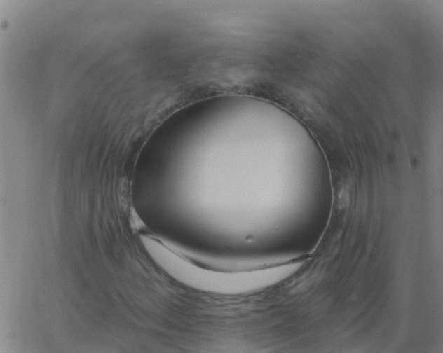 X0000062841156200601272009