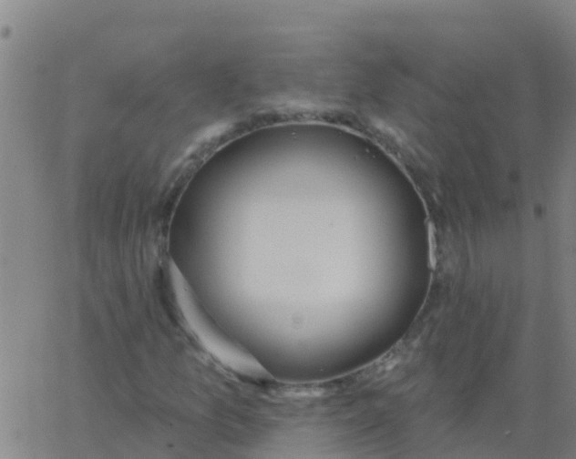 X0000062841157200601272009