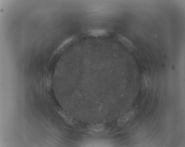 X0000062841158200601272009