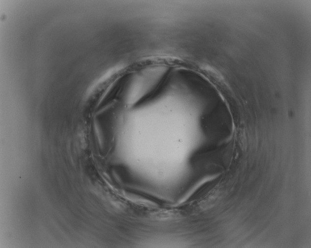 X0000062841159200601272009