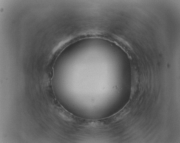 X0000062841160200601272009