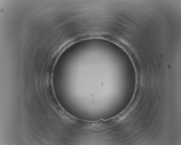 X0000062841161200601272009