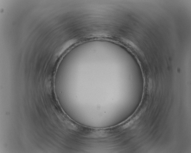 X0000062841162200601272009