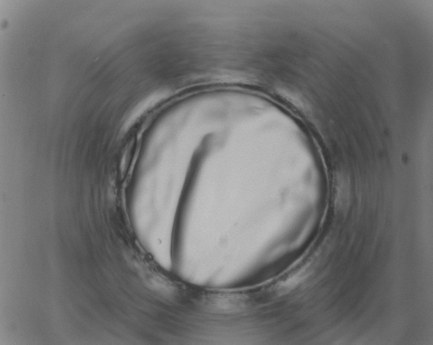 X0000062841163200601272009