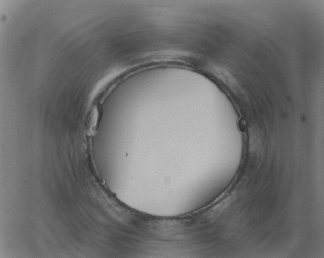 X0000062841164200601272009