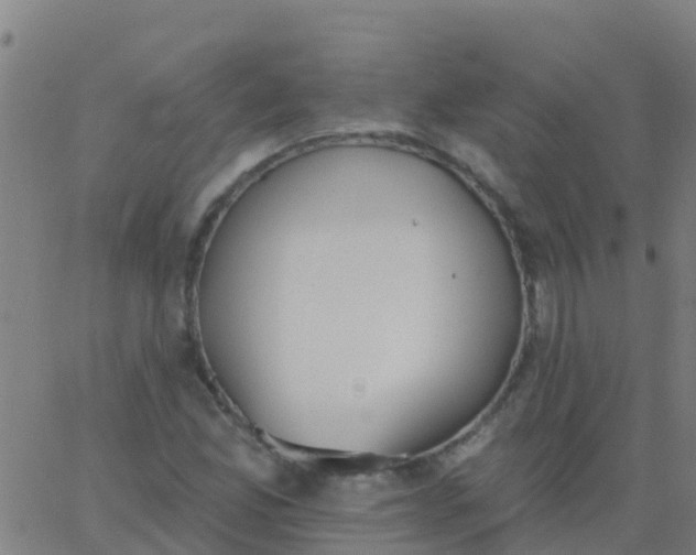 X0000062841165200601272009