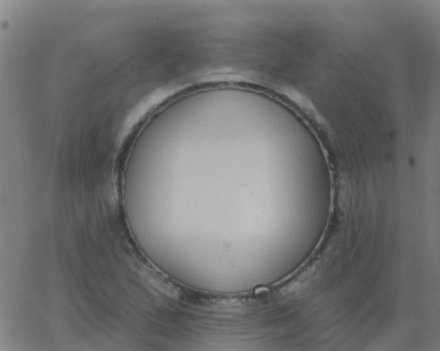 X0000062841167200601272009