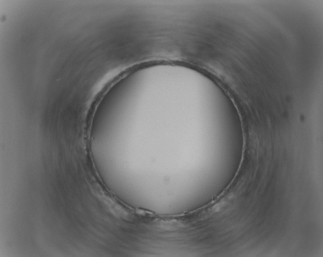 X0000062841168200601272009