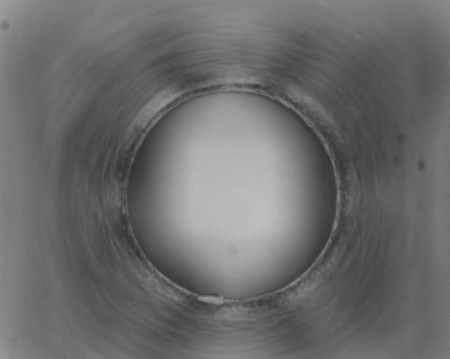 X0000062841169200601272009