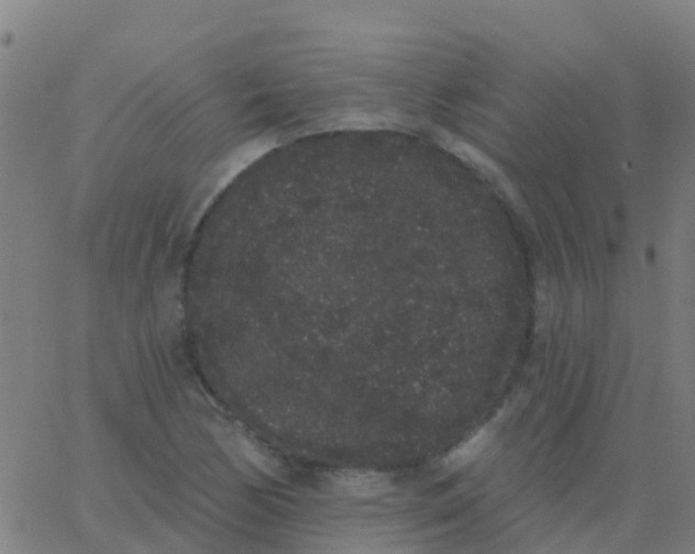 X0000062841170200601272009