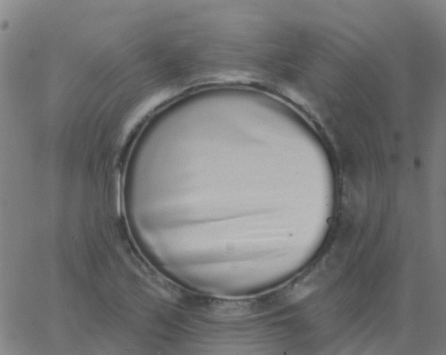 X0000062841171200601272009