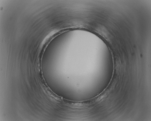 X0000062841172200601272009