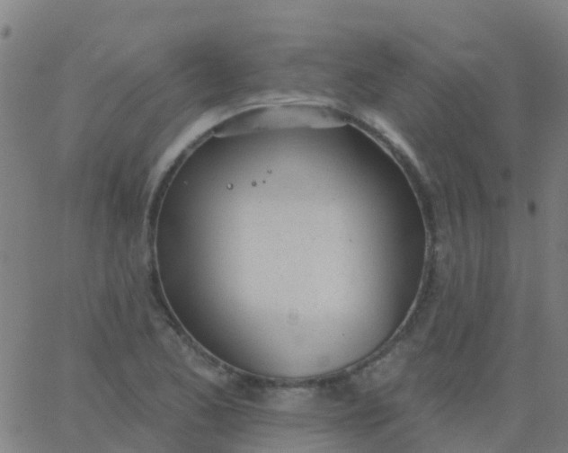 X0000062841173200601272009