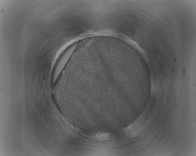 X0000062841174200601272009