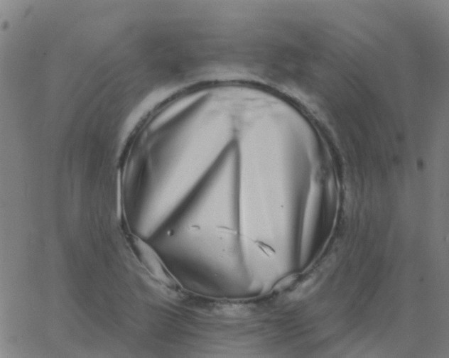 X0000062841175200601272009