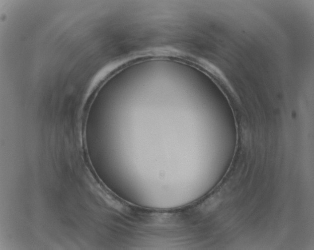 X0000062841176200601272009