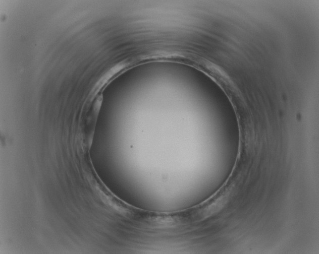 X0000062841177200601272009