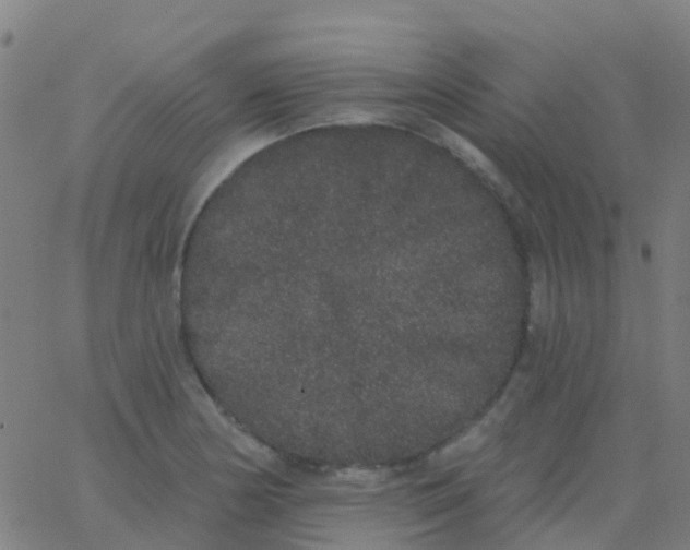 X0000062841178200601272009