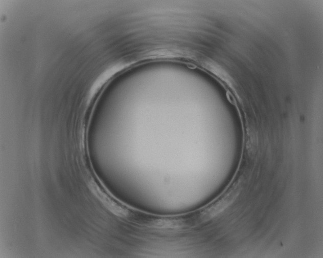 X0000062841179200601272009