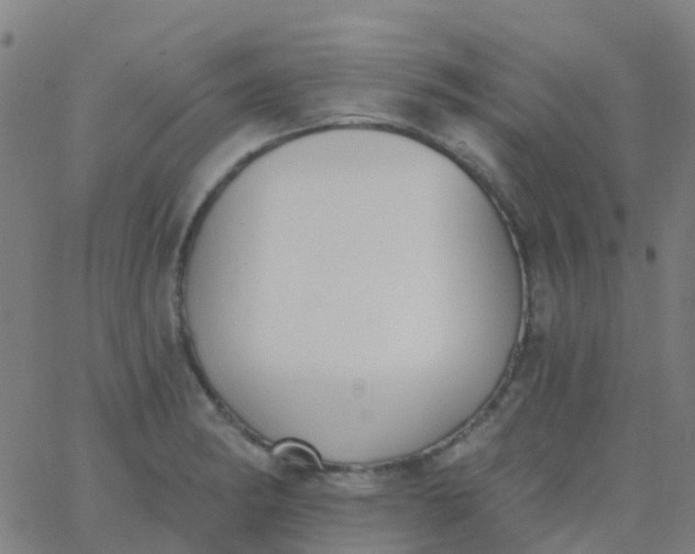 X0000062841182200601272008