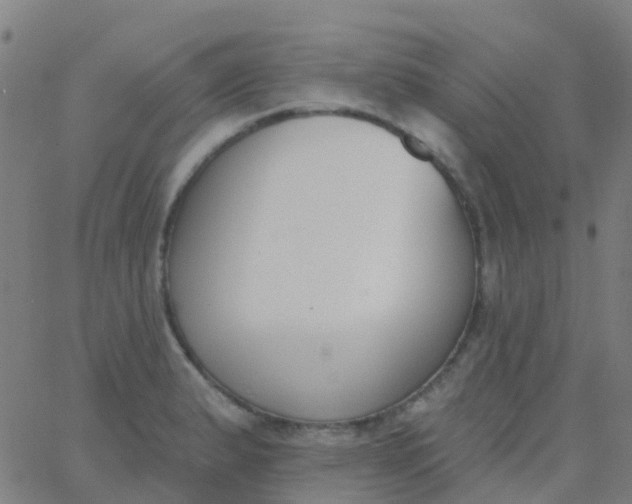 X0000062841183200601272008