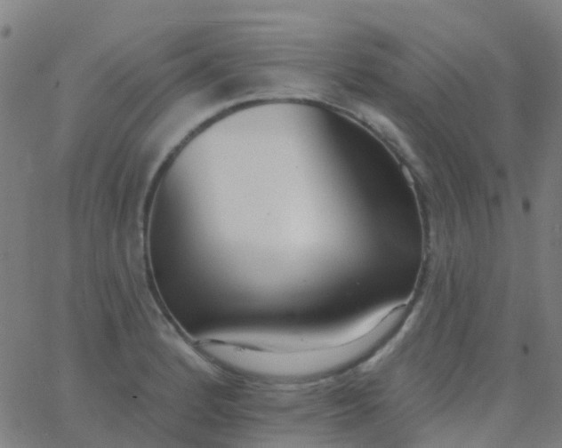 X0000062841184200601272008