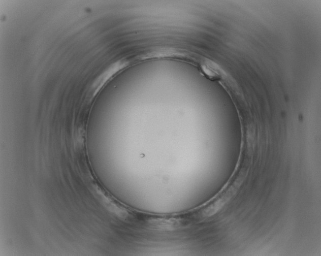 X0000062841185200601272008