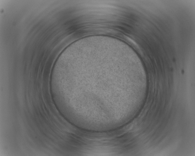 X0000062841186200601272008