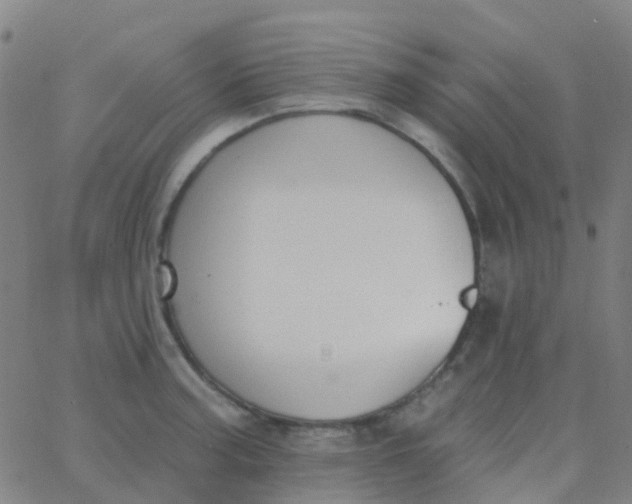 X0000062841187200601272008