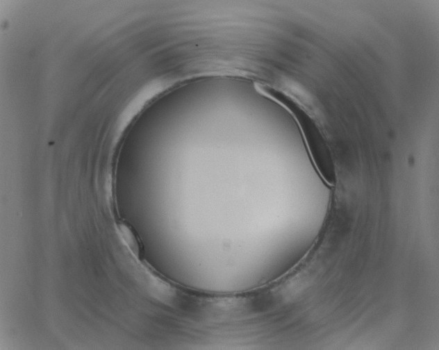 X0000062841188200601272008