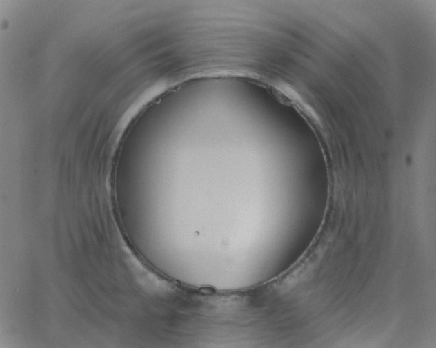 X0000062841189200601272008