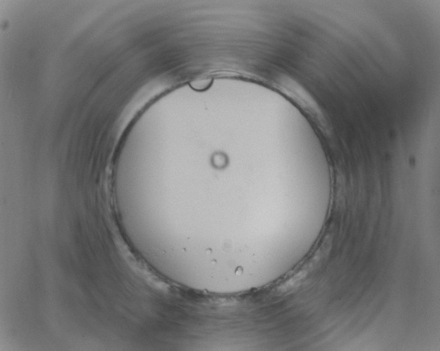 X0000062841190200601272008