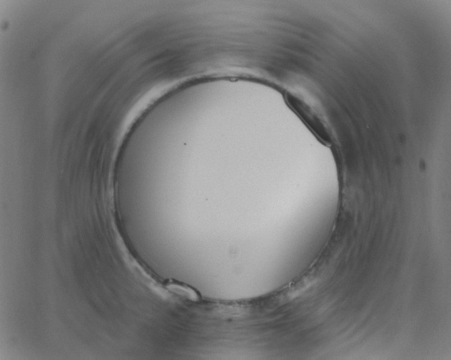 X0000062841191200601272008