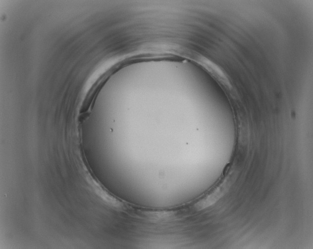 X0000062841192200601272008